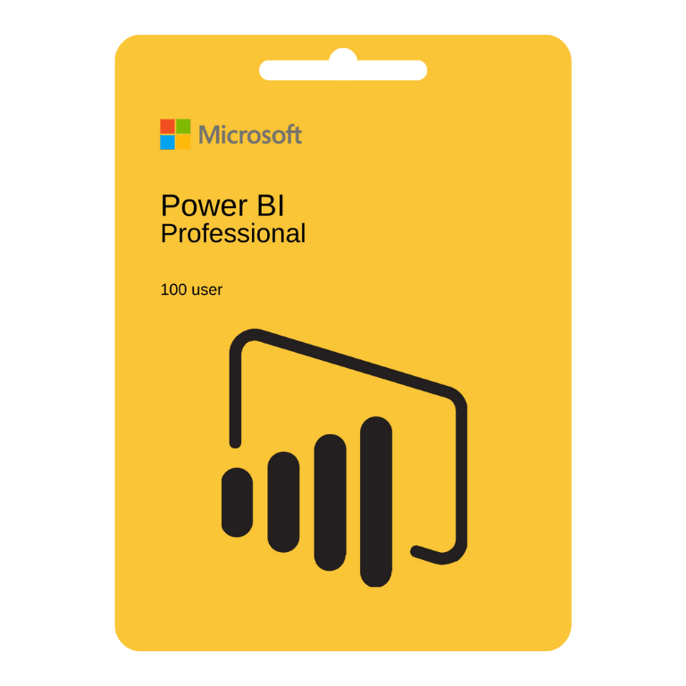 Power BI 100 User